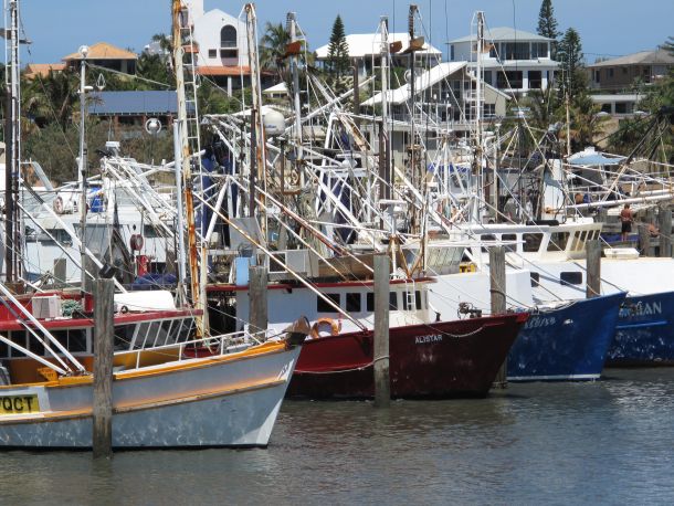 The 2013 snapper season in South Australia is closed from November 1 through until December 15. Image: Jamie Crawford